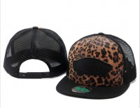 SNAPBACK VANS